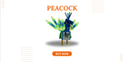 product-image-0