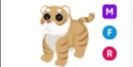 product-image-0