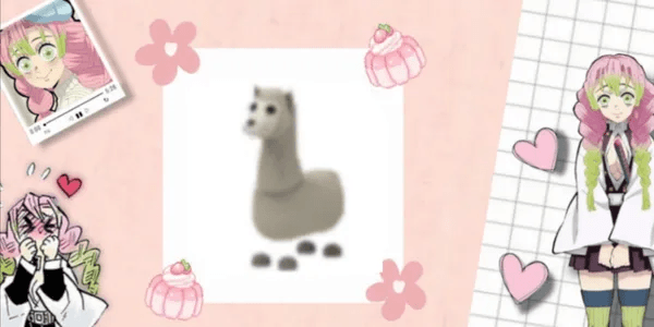 Llama