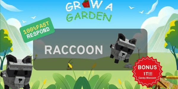 Gambar Product Raccoon + Bonus | Grow a Garden