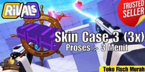 Skin Case 3 3x
