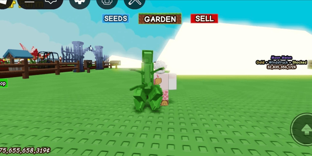 Product Showcase