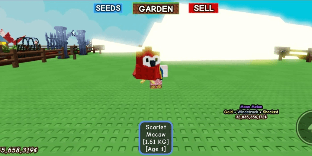 Product Showcase
