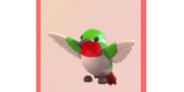 Gambar Product Hummin Bird - Adopt Me
