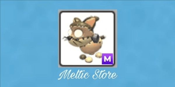 Product Showcase