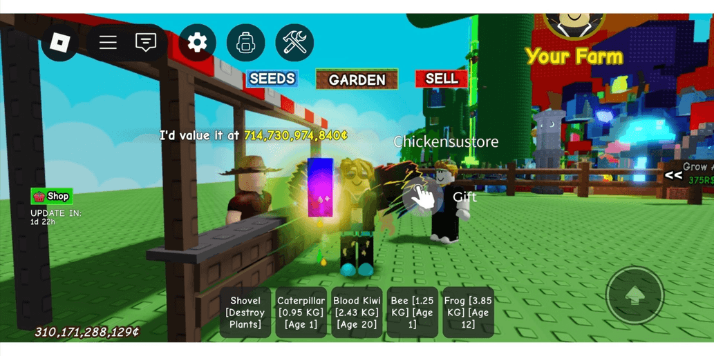 Product Showcase