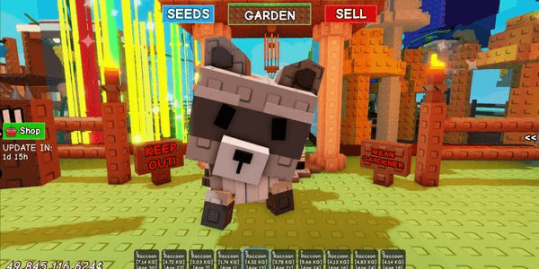 Gambar Product RACOON 40K CHEAP CHEERFUL TAKE MORE CAN BE CHEAPER