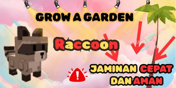 Racoon / Raccoon / raccon | Grow a garden