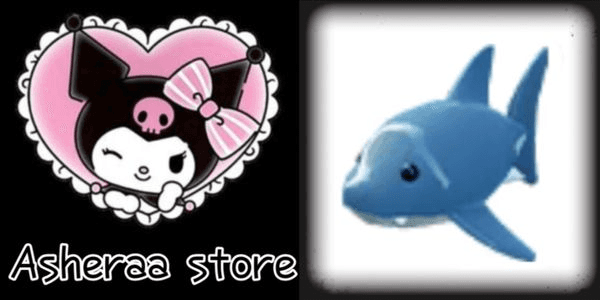 Gambar Product Shark