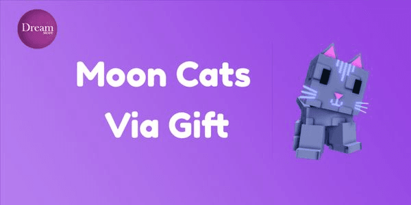 Gambar Product Moon Cat