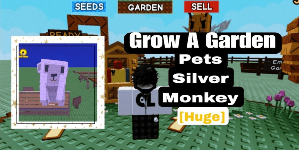Product Showcase