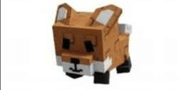 product-image-0