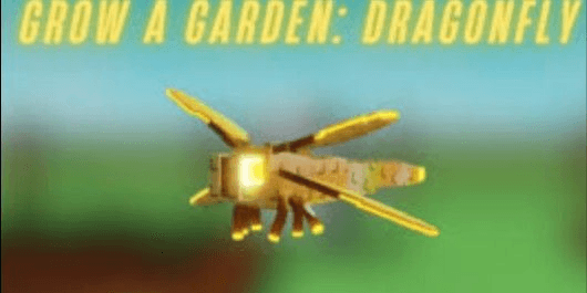 Gambar Product "DragonFly - Grow A Garden"
