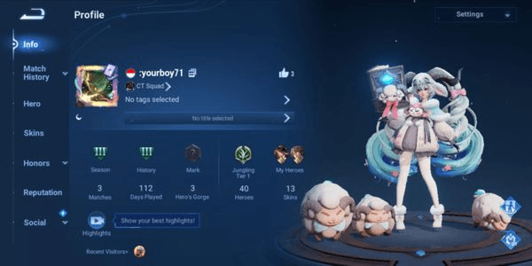 Gambar Product CHEAPEST GG WINRATE SMURF HOK ACCOUNT