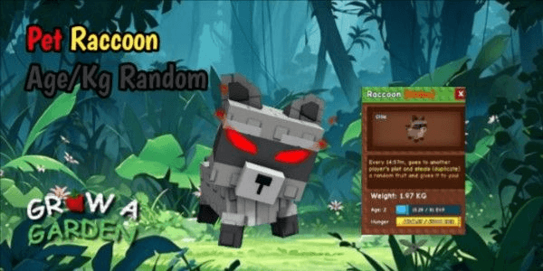 Gambar Product Raccoon