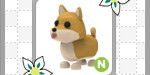 product-image-0