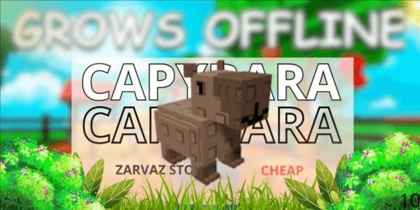 product-image-0