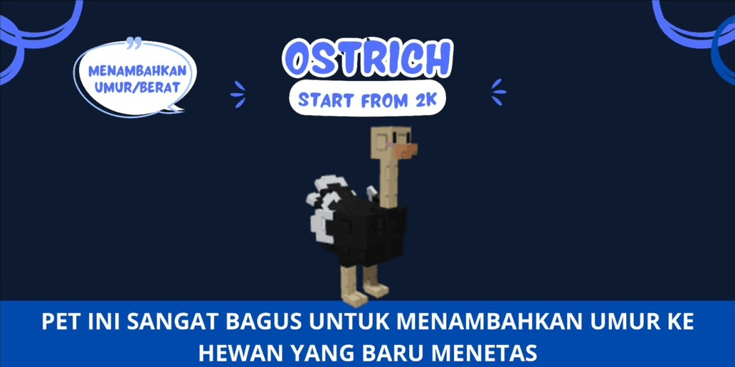 Product Showcase