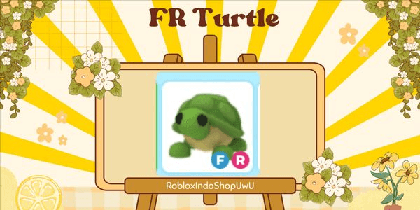 Gambar Product Turtle