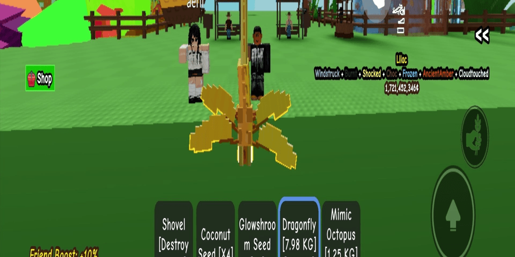 Product Showcase
