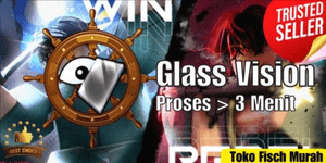 Glass Manufacturer Vision