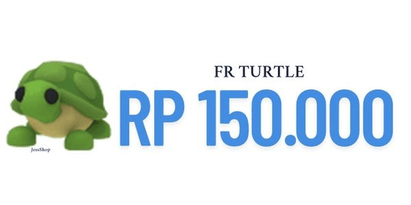 FR TURTLE