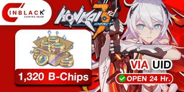 Gambar Product 1320 B Chips