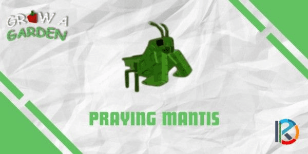 Gambar Product Praying Mantis - Grow A Garden