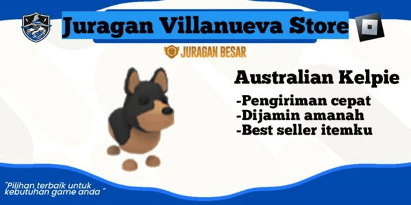 Gambar Product Australian Kelpie