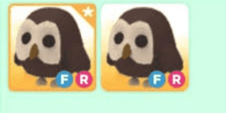 Gambar Product Owl FR - Murah