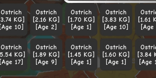 Gambar Product Ostrich Take all