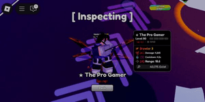 The Pro Gamer