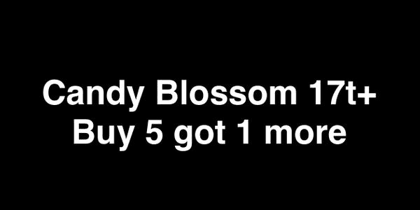 Gambar Product Candy Blossom 232b coins