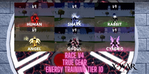 Jasa Race V4 True Gear