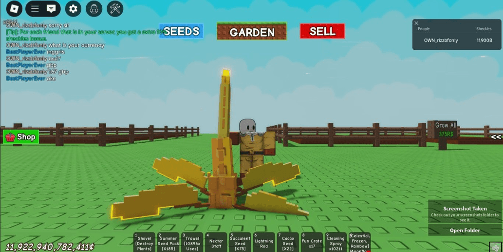 Product Showcase