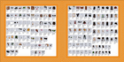 product-image-2