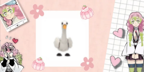 Swan