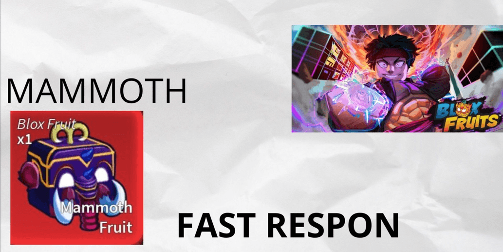 Product Showcase