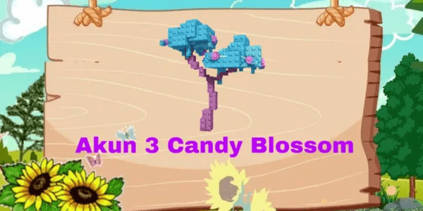 AKUN 3 CANDY BLOSSOM