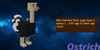 product-image-0