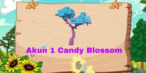 ACCOUNT 1 CANDY BLOSSOM