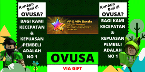 VIP & VIP+ BUNDLE