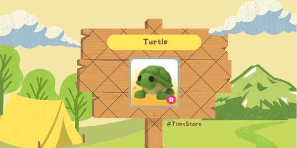 Gambar Product Turtle