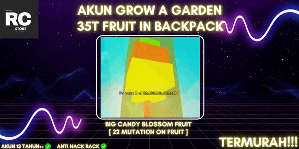 Gambar Product AKUN GROW A GARDEN 35T COIN/1 CANDY BLOSSOM FRUIT IN BACKPACK