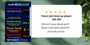 Level up player boosting package 250-350