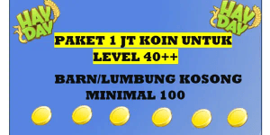 1 Million Coin Package Level 40+