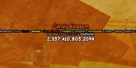 Gambar Product ACCOUNT 1 CANDY BLOSSOM (TRANSFER 2T)