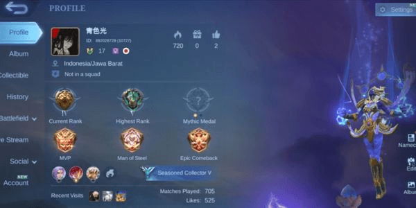 Gambar Product Selena Epic Limit Polosan