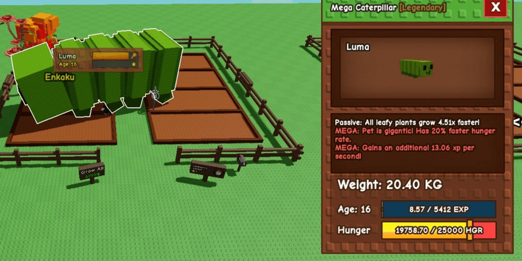 Product Showcase