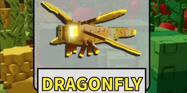 Gambar Product Dragonfly